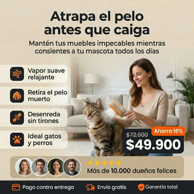 Cepillo de Vapor 3 en 1 Premium