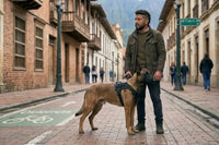 Diego F.