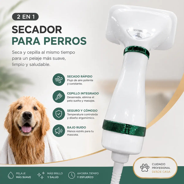 Cepillo Secador 2 en 1 para Mascotas secando y peinando a un French Poodle en casa