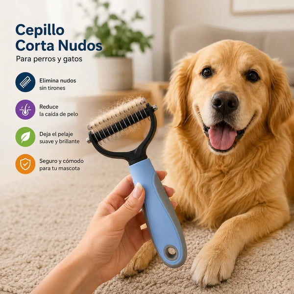 Mujer en Bogotá cepillando a su french poodle en el sofá de la casa