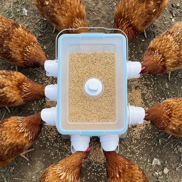 Vista desde arriba de un recipiente con puertos de comedero y aves comiendo alrededor