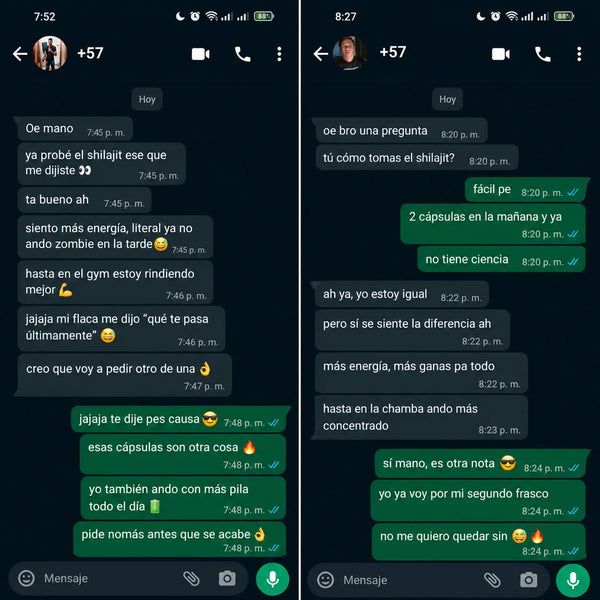 Cápsulas vegetales blancas con polvo grisáceo de shilajit sobre fondo claro